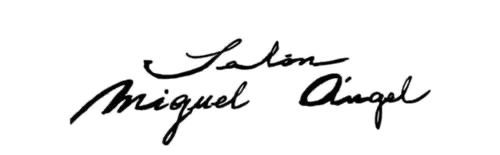 Salón Miguel Ángel